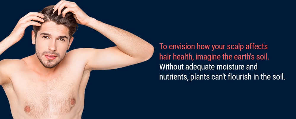 To envision how your scalp affects hair health, imagine the earth's soil. Without adequate moisture and nutrients, plants can't flourish in the soil.